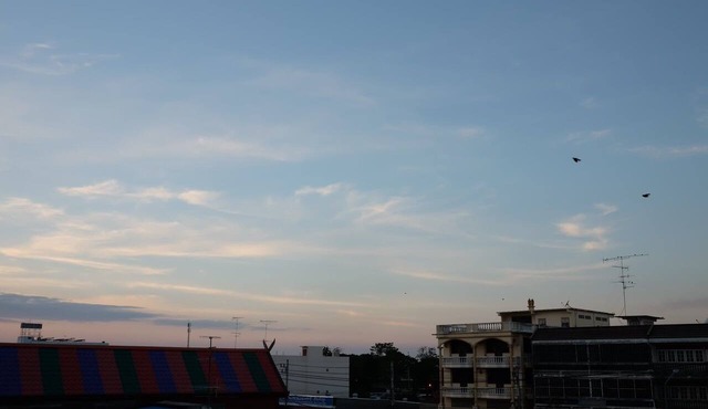 Jitra Resort