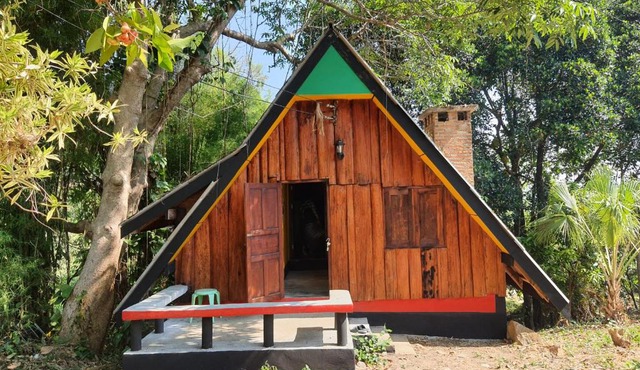 Jungle zone pai