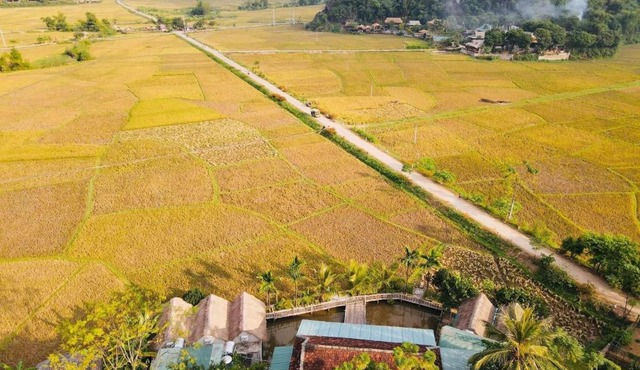 mai chau rice fields homestay in Mai Châu