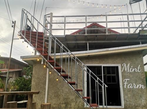 Mint Organic Farm Stay, Wangchin,Phrae