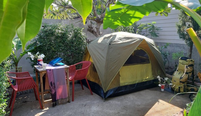 Mj Tent 1or2 Person in my front yard