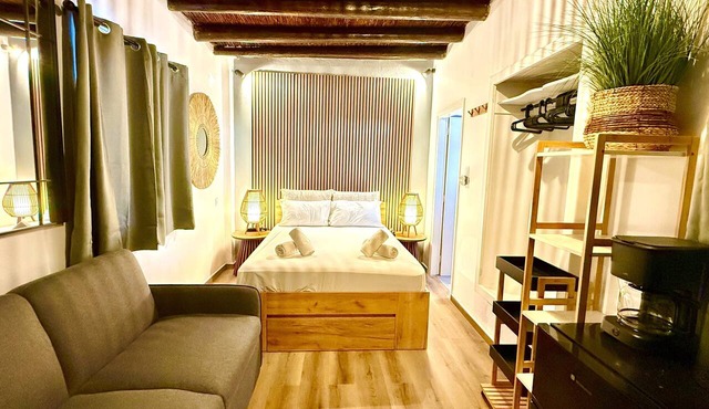 Naousaki Premium Studios 1 - Heart of Naousa, Paros in Naousa