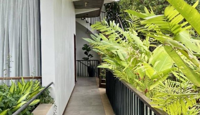 One-Bedroom Apartment 3 -Maison Leab