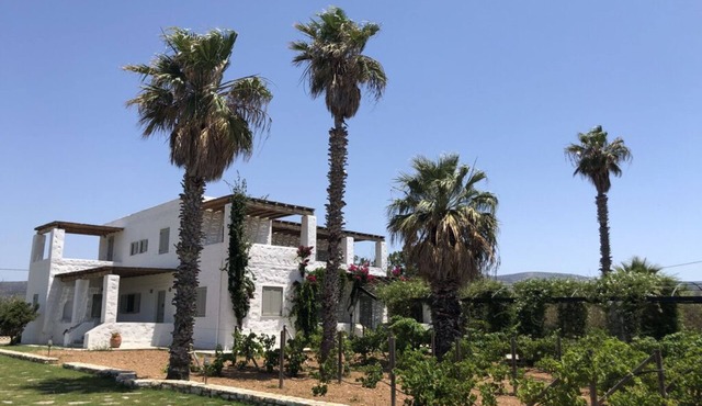 Palatial Villa Steps from the Beach in Paros