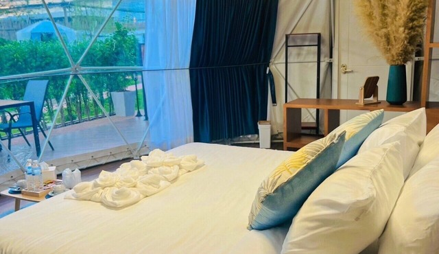 papa q suite resorts