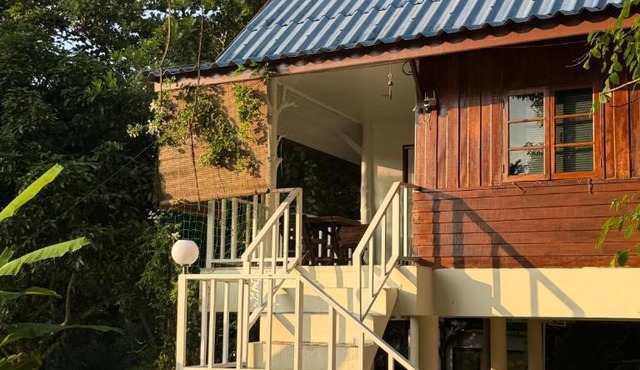 Simple Cozy House Coconut Lane