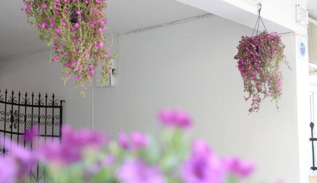Studio 'For 2 with Sea View 1' with View, Wi-Fi and Air Conditioning in Pefkochori