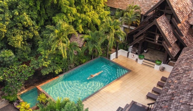 Sunday Rainforest Chiangmai