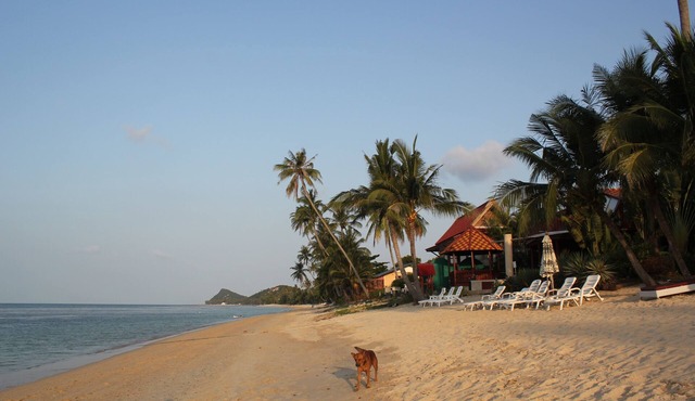 U3 Beautifull town house 3 BR private swimming pool steps to the beach