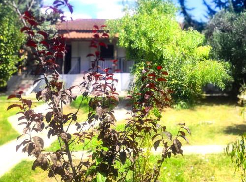 Vergia Studios in Sozopoli