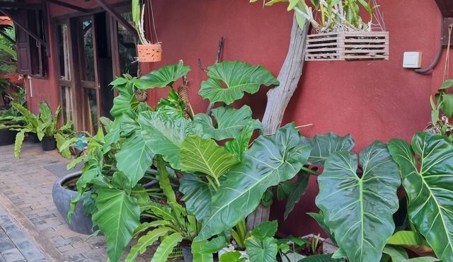 Villa Sa Ke - Khmer House