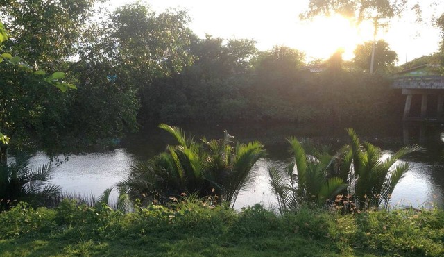 Waterside Resort in Pranburi