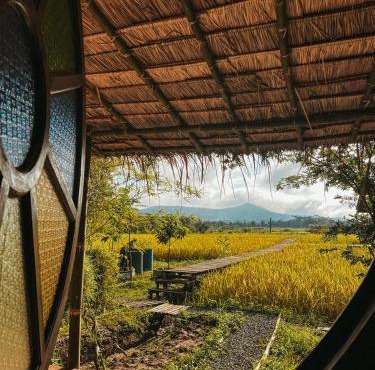 Yidan Farmstay in Chiang Dao