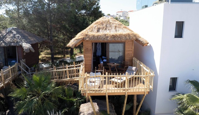 Zen Tree Suite with Jacuzzi | D PALM Premium Living in Chania