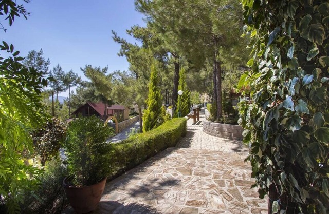 Chalet Spilia Troodos 