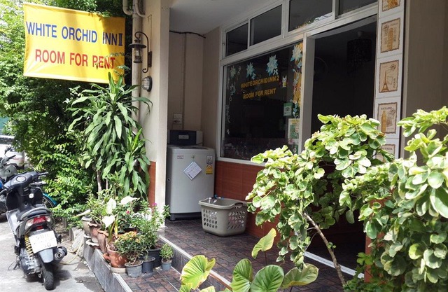 White Orchid Inn II
