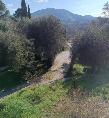Corfu House | Εξοχικό κατάλυμα στο Βιρο Κέρκυρας