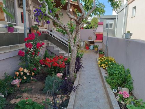 Alexandroupoli House | Ευχάριστο σπίτι σε όμορφη γειτονια.