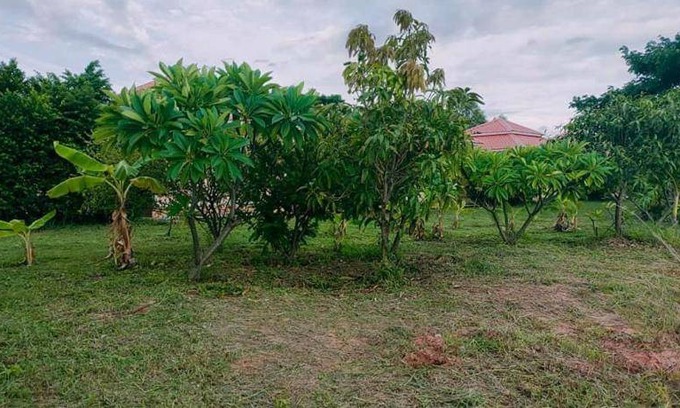 Bua Yai Resort | 25 m² Resort ∙ 2 guests