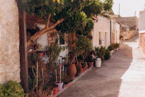 Sitia Apartment | 35 m² Apartment ∙ 1 bedroom ∙ 3 guests