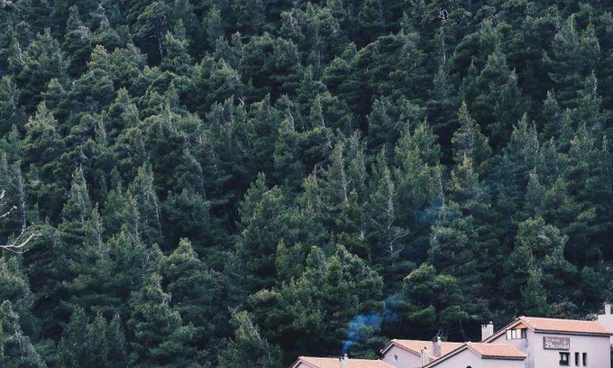 Steni Bed & Breakfast | 50 m² Bed and breakfast ∙ 5 guests