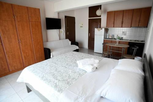 Alexandroupoli Apartment | Papi's Free Parking Apartments 1 - Studio