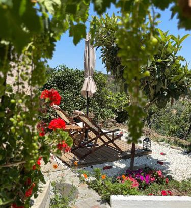 Pefki Apartment | The Garden House, Sitia
