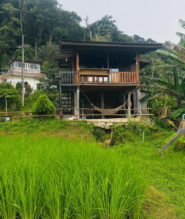 Ban Luang House | peado2