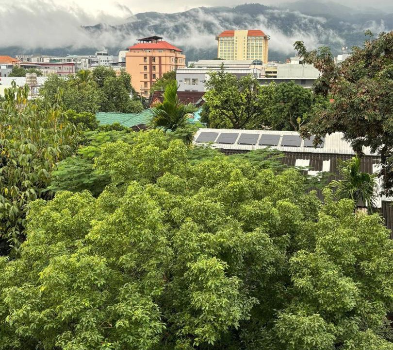 Chang Phueak Apartment | 503 Serene Teak Boutique Apartments