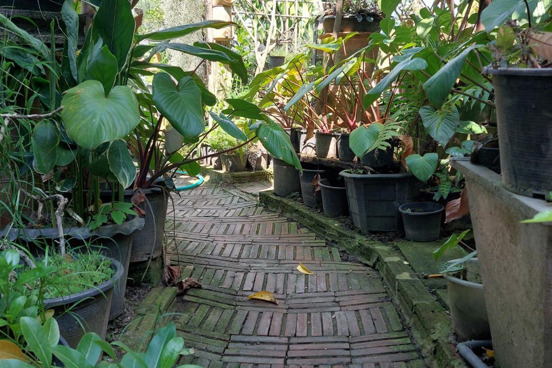 Phitsanulok Hostel | Baan Baan Cozy Hostel