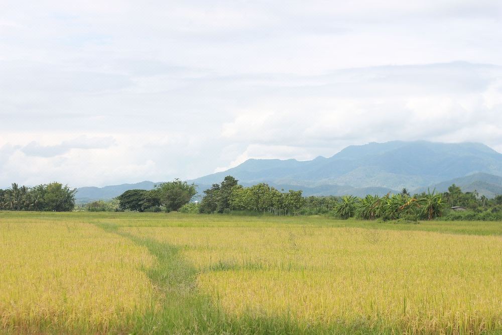 Photo of Outdoor in Phrao