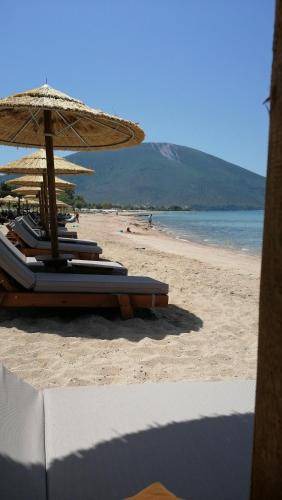 Photo of Others in Chalcis