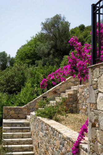 Photo of Others in Alonissos