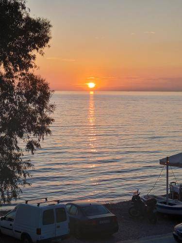 Photo of Others in Patras