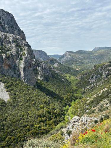 Photo of Others in Sipiada