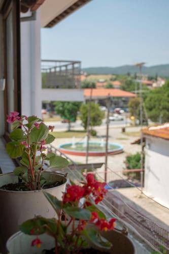 Photo of Others in Ierissos