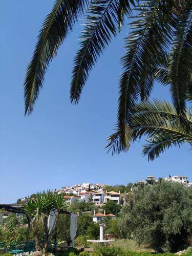 Photo of Others in Alonissos