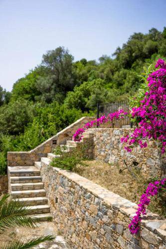 Photo of Others in Alonissos