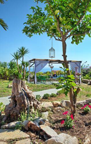 Photo of Others in Alonissos