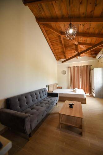 Photo of Livingroom in Diasella