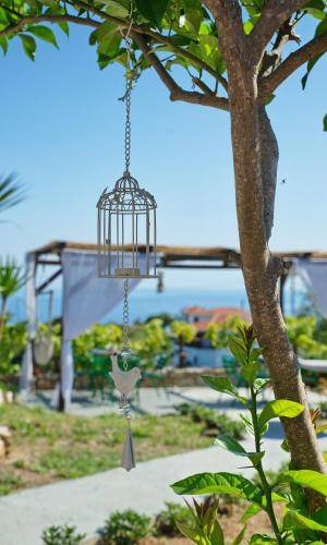 Photo of Others in Alonissos