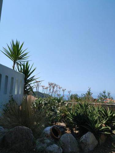 Photo of Others in Alonissos