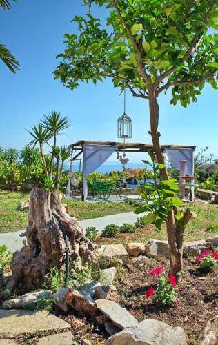 Photo of Others in Alonissos