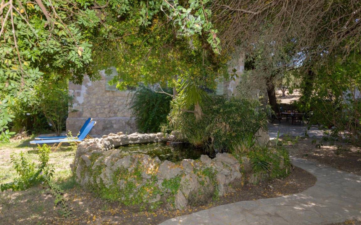 Photo of Others in Ano Vasilikos
