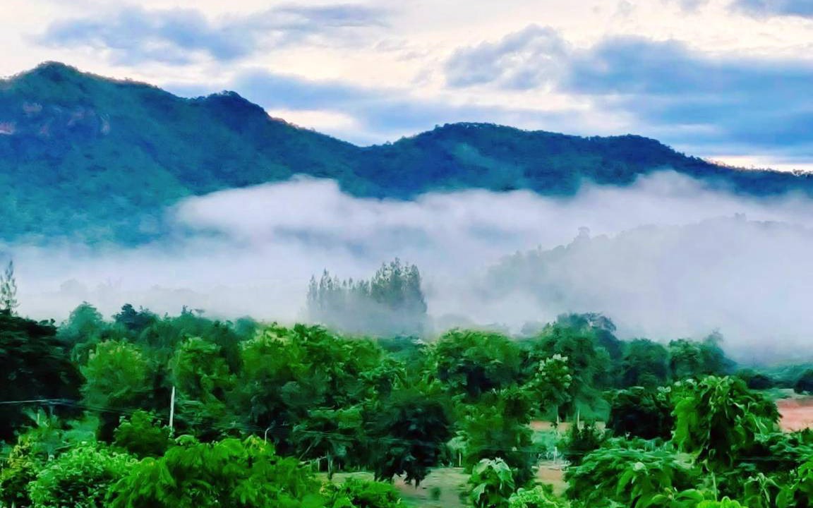 Photo of Others in Suan Phueng