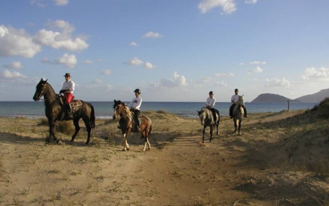 Photo of Others in Agrilia