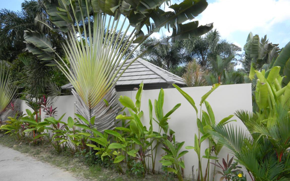 Photo of Others in Lipa Noi