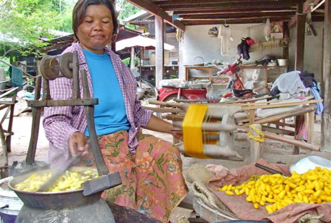Photo of Others in Chonnabot