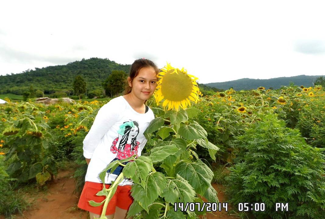 Photo of Others in Chonnabot