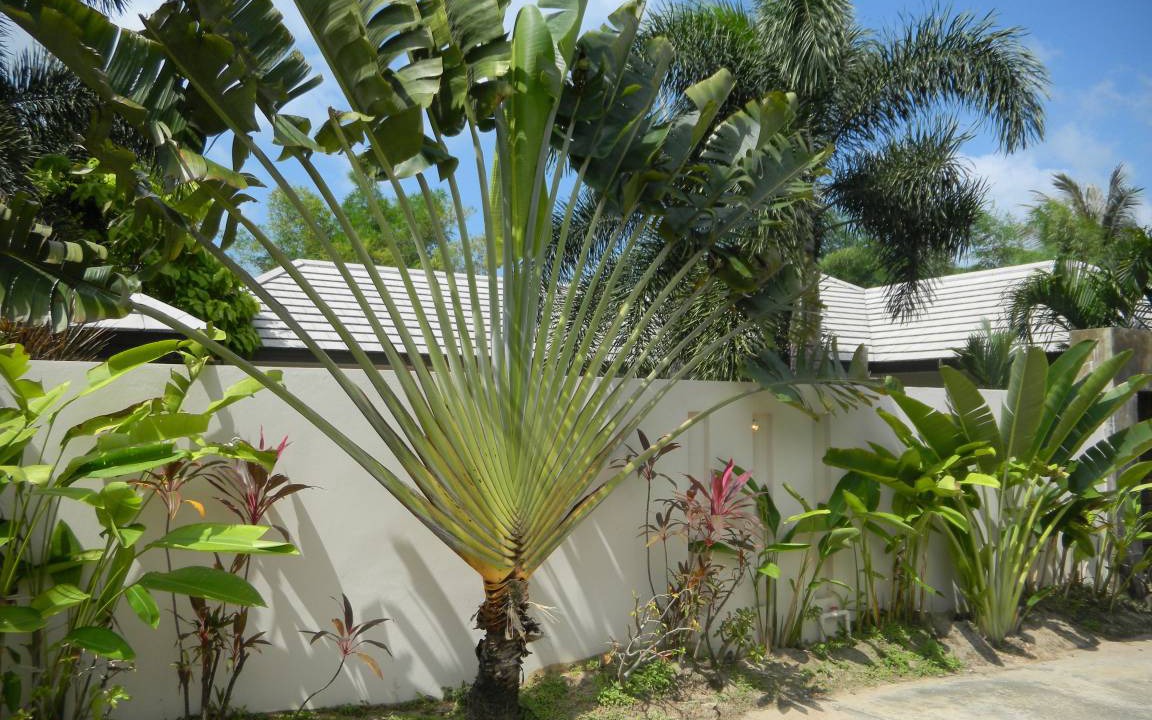 Photo of Others in Lipa Noi
